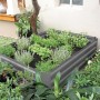 Graues Siena Garden Hochbeet (120x90x30 cm) bepflanzt mit Kräutern und Gemüse.
