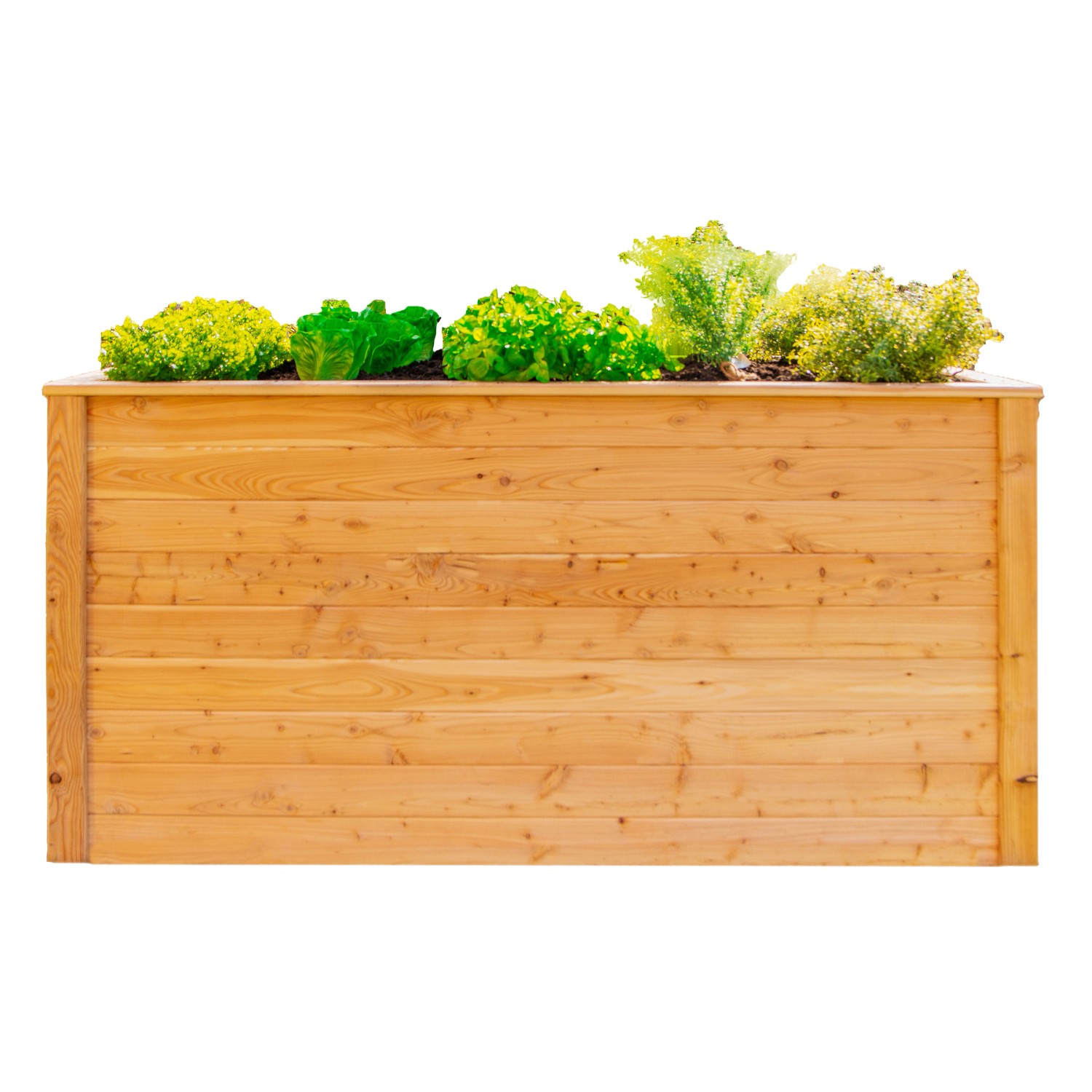 Westmann Hochbeet Lärche 170 cm x 90 cm x 84 cm Natur FSC®