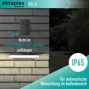 Oktaplex Bela Dämmerungsschalter in Anthrazit für Außenmontage, IP65 wetterfest.