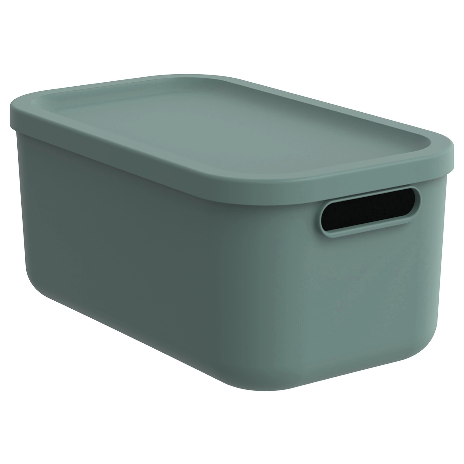 Rotho Multibox Albula 12, Mistletoe Green