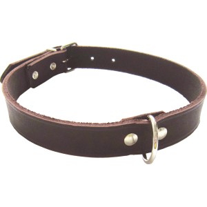 Braunes Heim Hundehalsband aus Softleder, 20 mm breit und 50 cm lang.