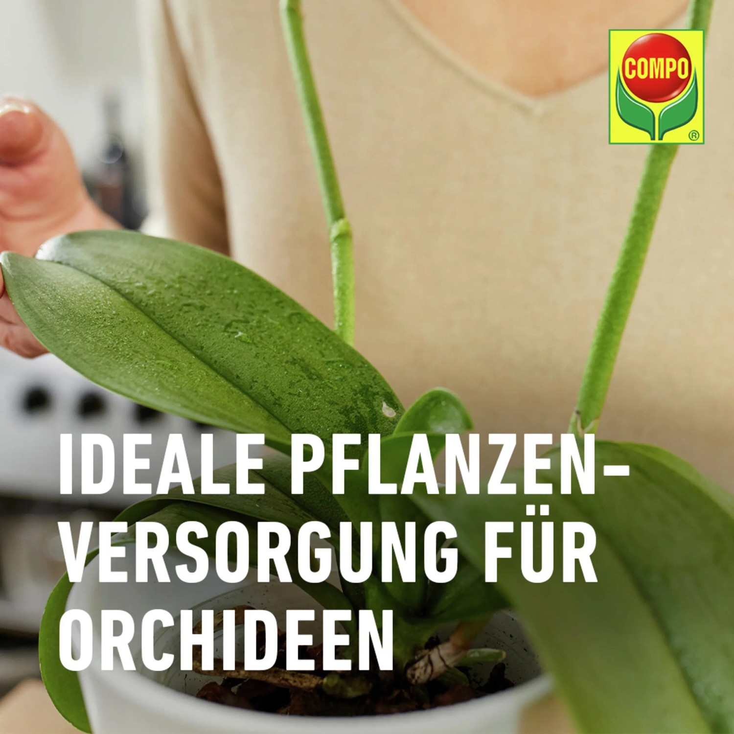 Compo Dngestbchen Orchideen 20 Stbchen kaufen bei OBI