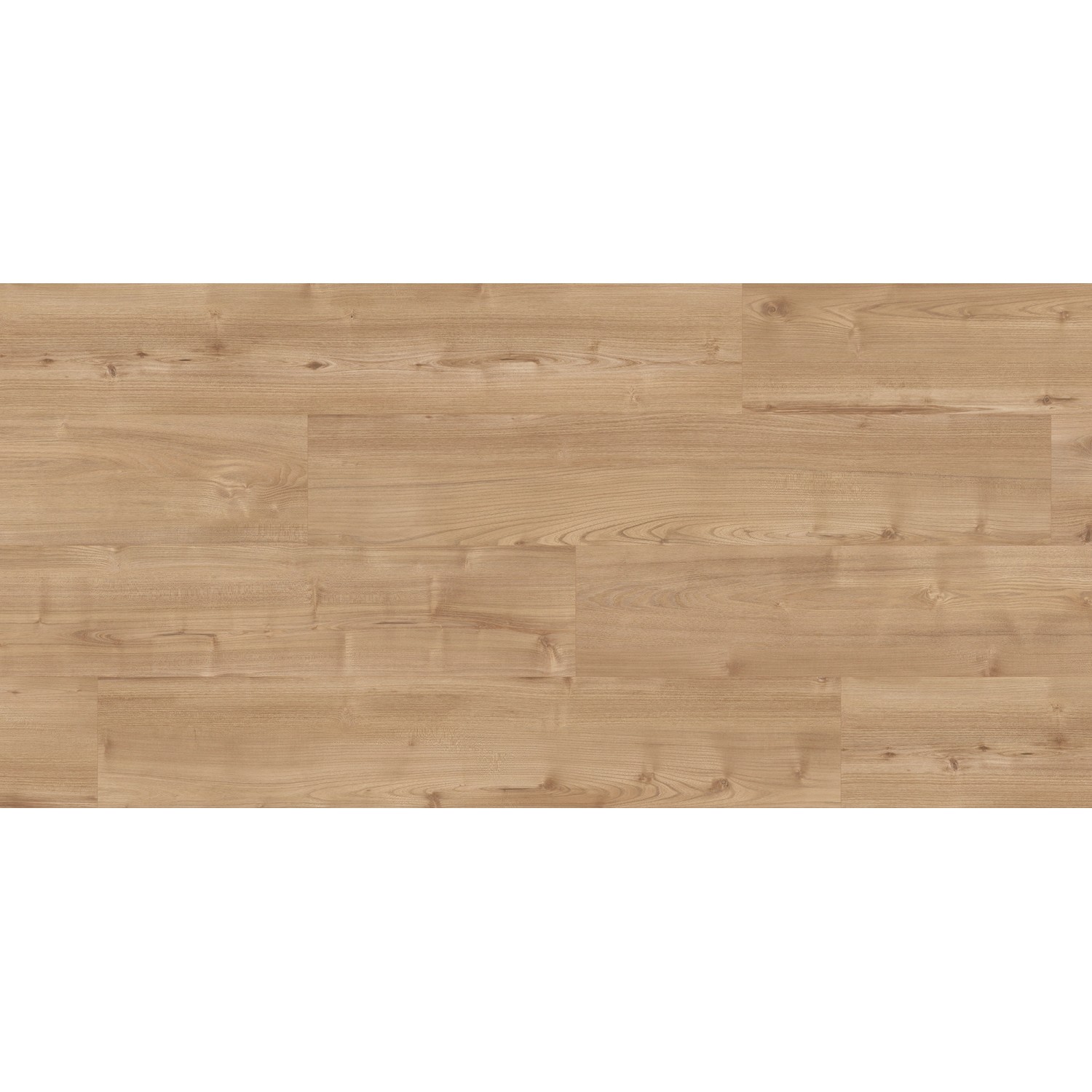 Kaindl Laminat Masterfloor Aqualine XPT Akazie Chester Valeria, Laminatboden in Holzoptik.