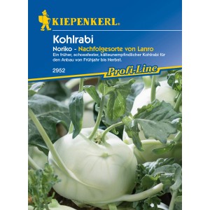 Kiepenkerl Kohlrabi 'Noriko' mit runder, heller Knolle und grünen Blättern.