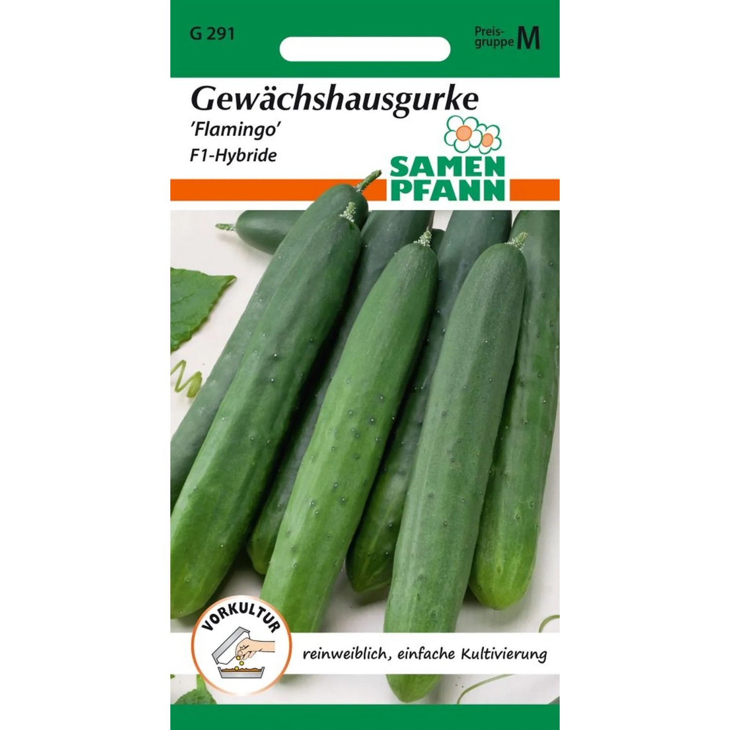 SAMEN PFANN Salatgurke Flamingo F1