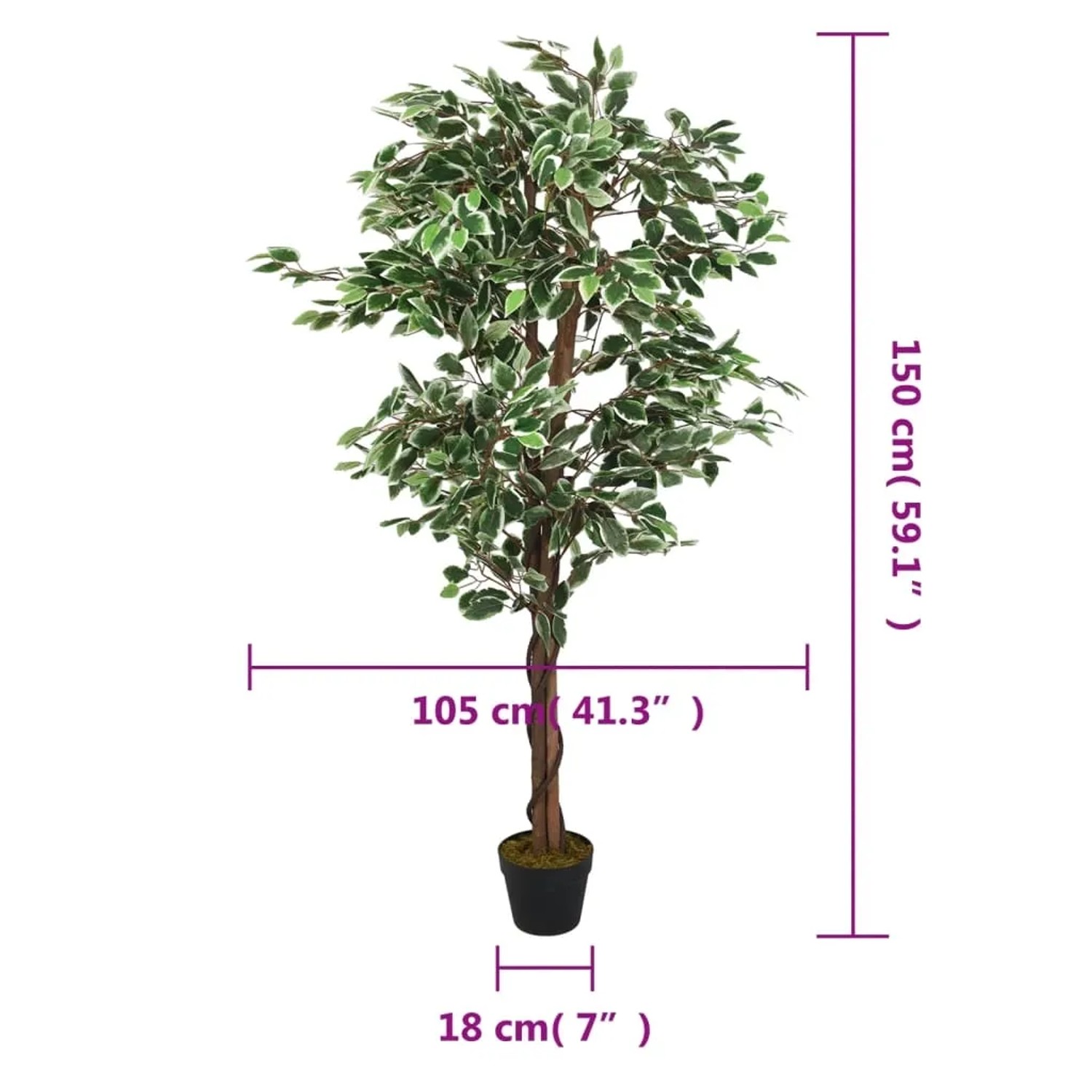 monstera stamm Monstera Monkey Leaf | 170cm main image 1