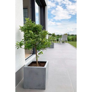 Grauer Vivanno Pflanzkübel Block 30x30x30 cm in Betonoptik mit Pflanze auf Terrasse.