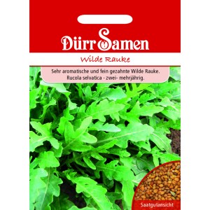 Dürr Samen Wilde Rauke: Saatgut-Packung mit Rucola Selvatica, ideal für den Garten.