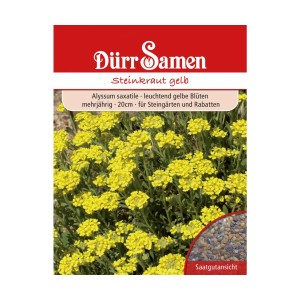 Dürr Samen Steinkraut gelb: Saatgutpackung mit gelb blühendem Alyssum Saxatile für Steingärten.