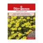 Dürr Samen Steinkraut gelb: Saatgutpackung mit gelb blühendem Alyssum Saxatile für Steingärten.