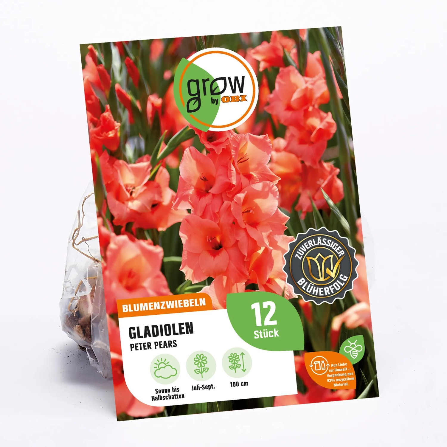 GROW by OBI Gladiole Peter Pears, lachsrosa Blüten, Höhe ca. 100cm, Blumenzwiebeln für Beet und Kübel.