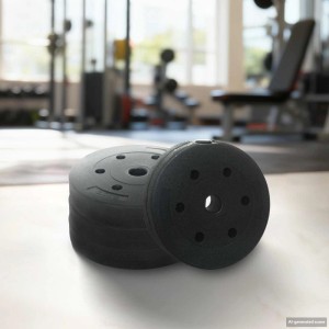 Schwarze Hantelscheiben (30 kg) für Hantelset, Sport & Fitness.