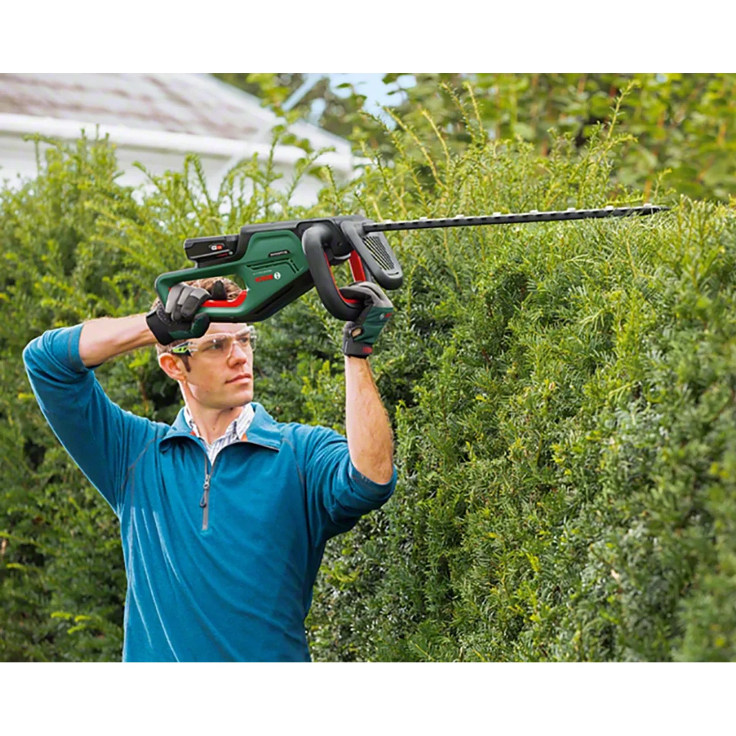 Mann schneidet Hecke mit Bosch Akku-Heckenschere Universal Hedge Cut 18-55. Gartengerät in Grün und Schwarz.