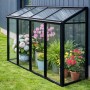 Schwarzes Bloomcabin Mini Gewächshaus aus Aluminium mit Glas, gefüllt mit bunten Pflanzen, auf Rasen vor blauer Wand.