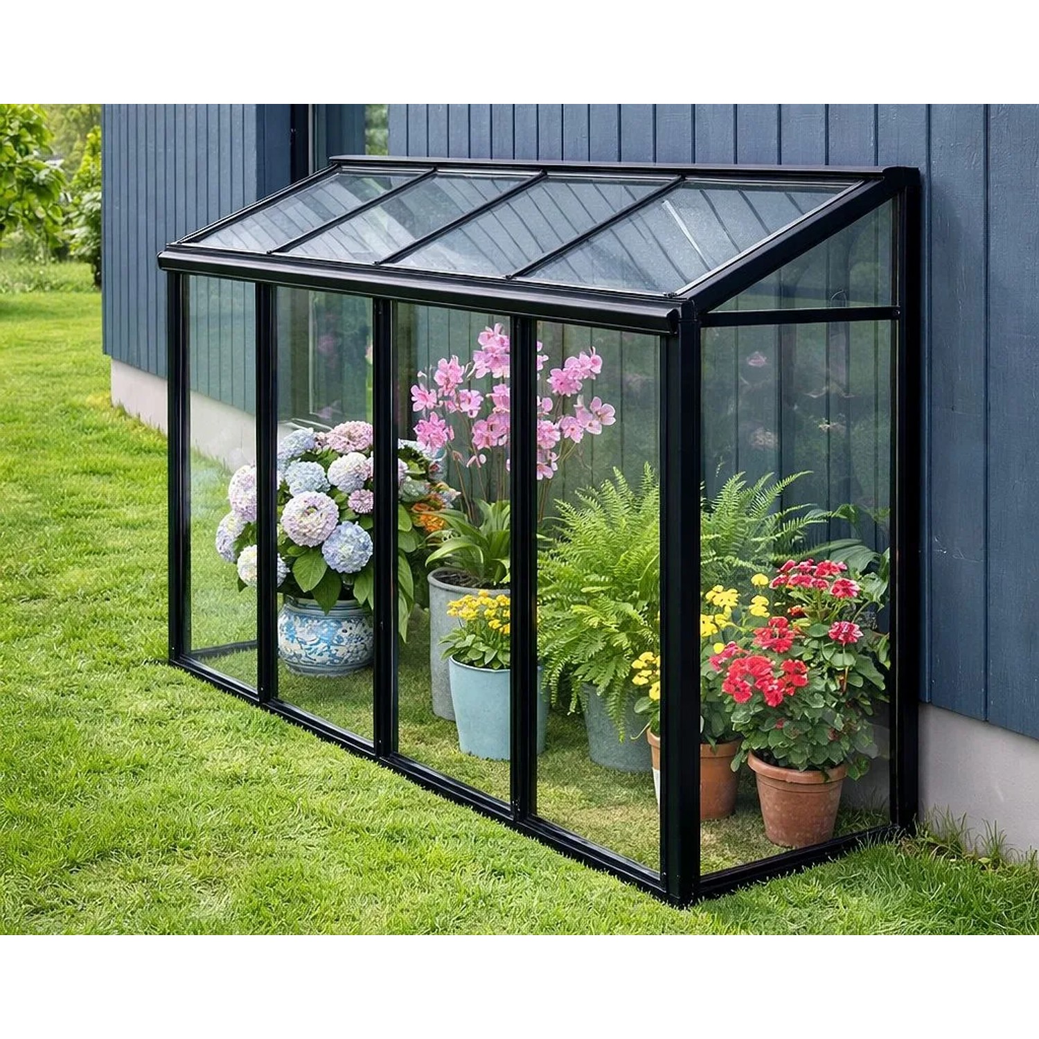 Schwarzes Bloomcabin Mini Gewächshaus aus Aluminium mit Glas, gefüllt mit bunten Pflanzen, auf Rasen vor blauer Wand.