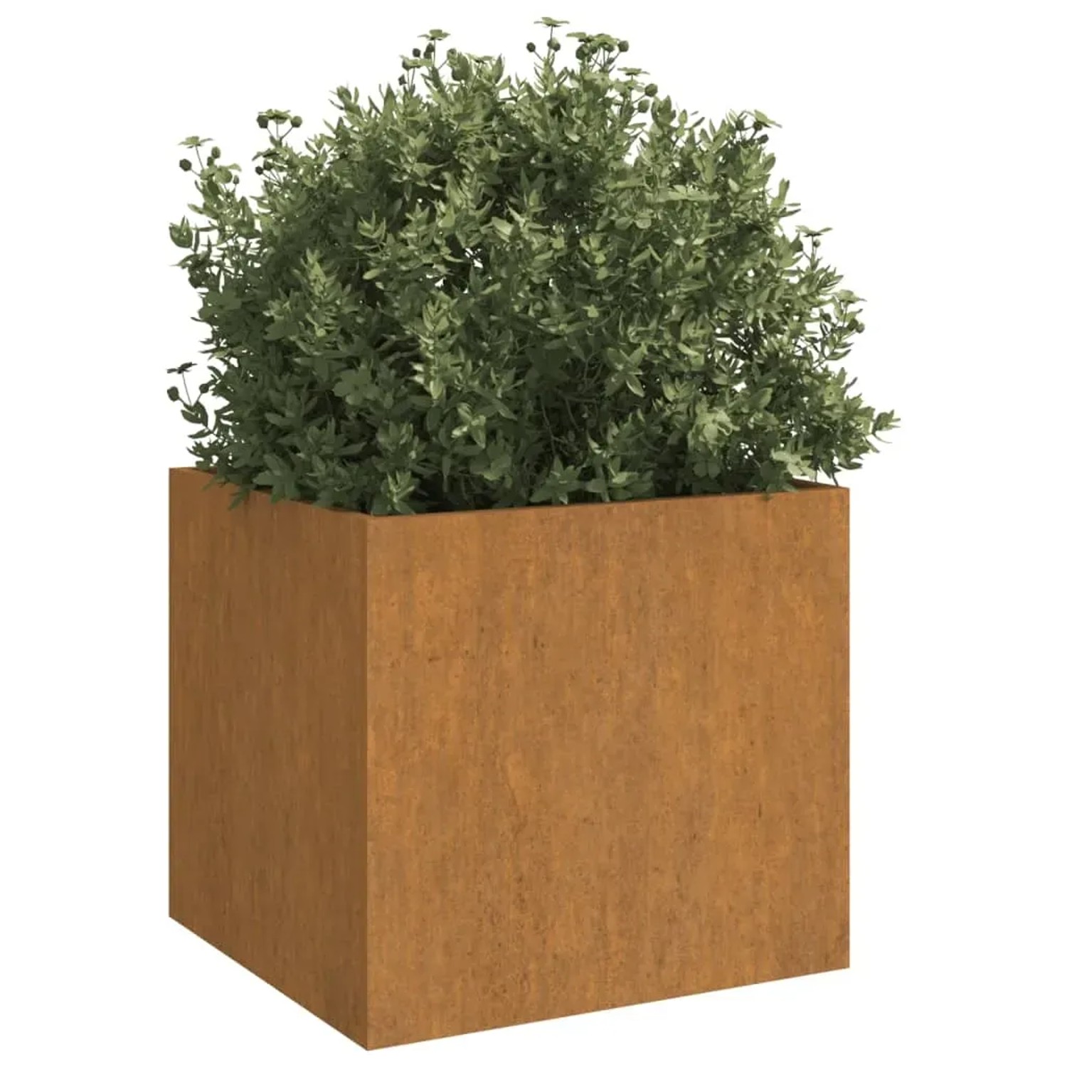 Quadratischer Pflanzkübel aus Cortenstahl, rostfarben, mit grüner Pflanze. Ideal für Garten und Terrasse.
