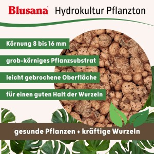Blusana Blähton 8-16mm, grobes Pflanzsubstrat für Hydrokultur und Drainage.