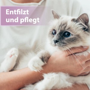 Frau hält Katze mit seidigem Fell im Arm. Felisept Fellpflegespray für Katzen.