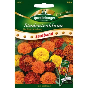 Quedlinburger Studentenblumen Saatband: Mischung aus bunten, niedrigen Sommerblumen für Beet und Garten.