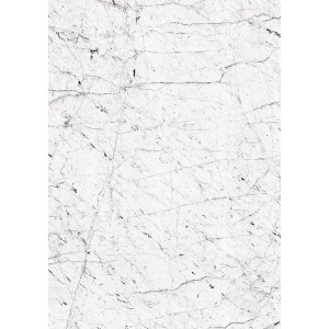 Rasch Fototapete Factory V Marmor Cremeweiß, 3x2,12m, mit feinen schwarzen Adern.