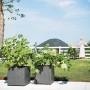 Zwei anthrazitfarbene Deroma Pflanzkübel Cubo Millennium mit Pflanzen im Garten.