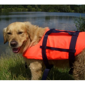Hund mit orangefarbener Seilflechter Schwimmweste (15-40 kg) am See.