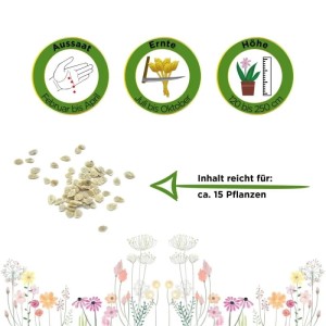 Marmande Fleischtomate Samen. Icons zeigen Aussaat (Feb-Apr), Ernte (Jul-Okt), Höhe (120-250cm). Inhalt für ca. 15 Pflanzen.