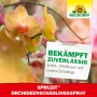 Neudorff Spruzit Orchideenschädlingsspray vor gelben Orchideenblüten.