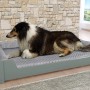 Graues Hunde- bzw. Haustierbett aus Kiefernholz mit Rollrost und Matratze, Hund liegt entspannt darin.