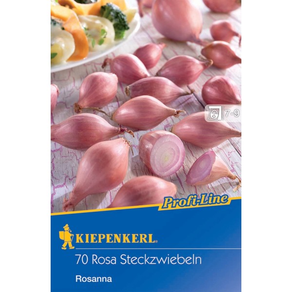 Steckzwiebeln kaufen bei OBI