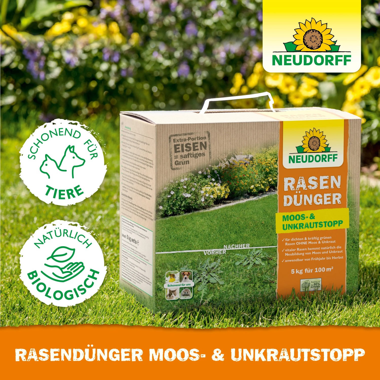 aquarium bester dünger Aquarium Pflanzen Dünger von Flora Boost für gesunde Aquarienpflanzen