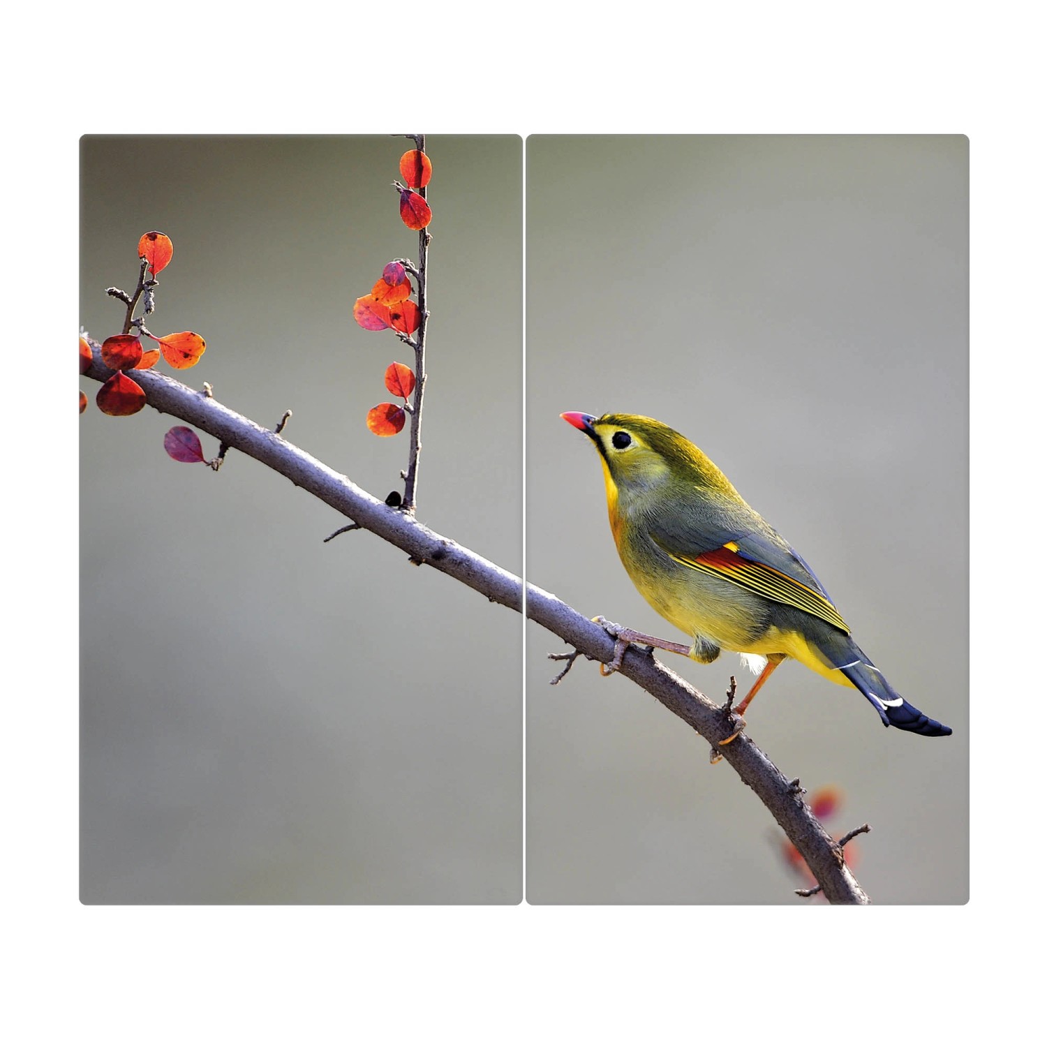 Banjado 2-teilige Herdabdeckplatte aus Glas mit Herbstvogel-Motiv, je 30x52 cm.
