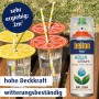 Belton Free AQUAcolours Buntlack Reinorange, hochglänzend. Farbspraydose neben Gläsern mit Strohhalmen.