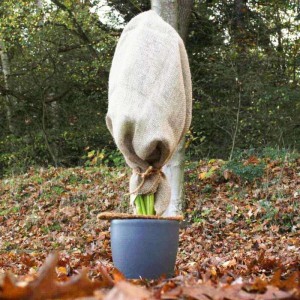 Galaflor Winterschutztuch aus Jute 110x60 cm Natur