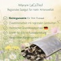 LaCaTho Sonnenblumen Mischung Samen in Papiertüte auf bunter Blumenwiese. Hochwertige Blumensamen für Zierpflanzen.