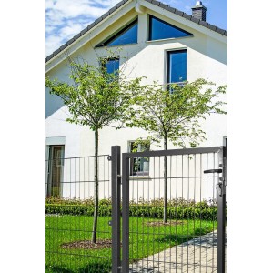 Anthrazitfarbenes Gartentor aus Stahl mit Doppelstabmatten-Füllung, 120x100 cm.