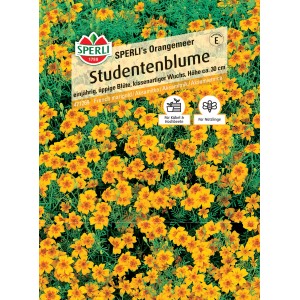 Sperli Saatgut Studentenblume SPERLI's Orangemeer