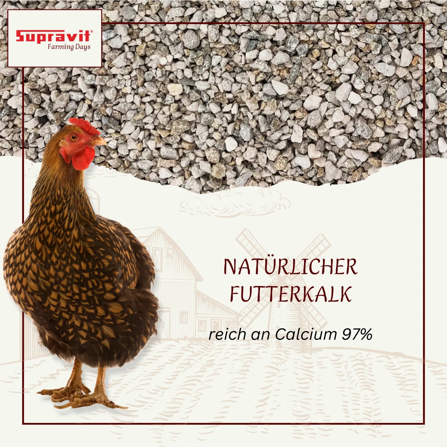 Supravit Kalkgrit für Hühner Futterkalk Ergänzungsfutter_2