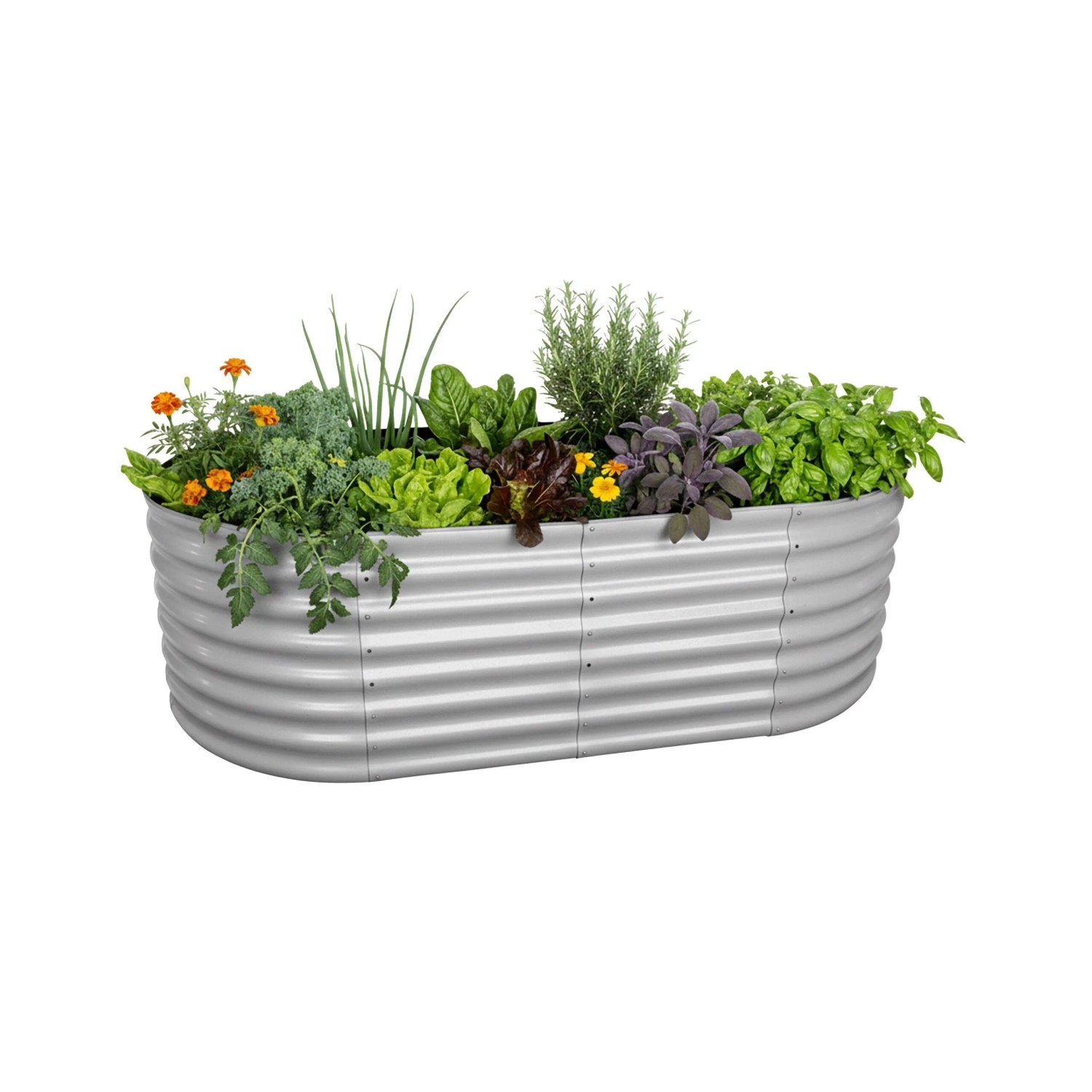 Relaxdays Hochbeet Halbrund Metall Hellgrau Bodenfrei 60 cm x 200 cm x 100 cm 17 kg
