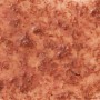 Tetra FreshDelica Krill, Spezialfutter im Gel mit Krillstücken für Zierfische.
