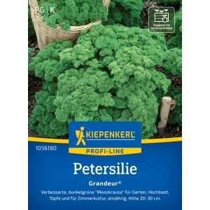 Kiepenkerl Petersilie Mooskrause Grandeur, dicht gekrauste, grüne Blätter im Beet.