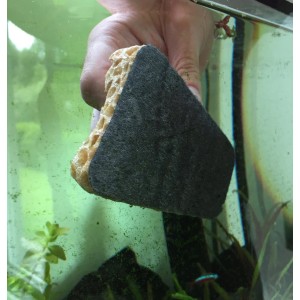 Cleanator Reinigungsschwamm für Aquarien im Einsatz gegen Algen.