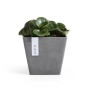 Quadratischer, grauer Ecopots Pflanztopf Rotterdam 20 cm mit grüner Pflanze.
