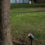 Lutec LED Erdspieß Spot Explorer, Gartenstrahler aus Metall in Schwarz neben einem Baum.