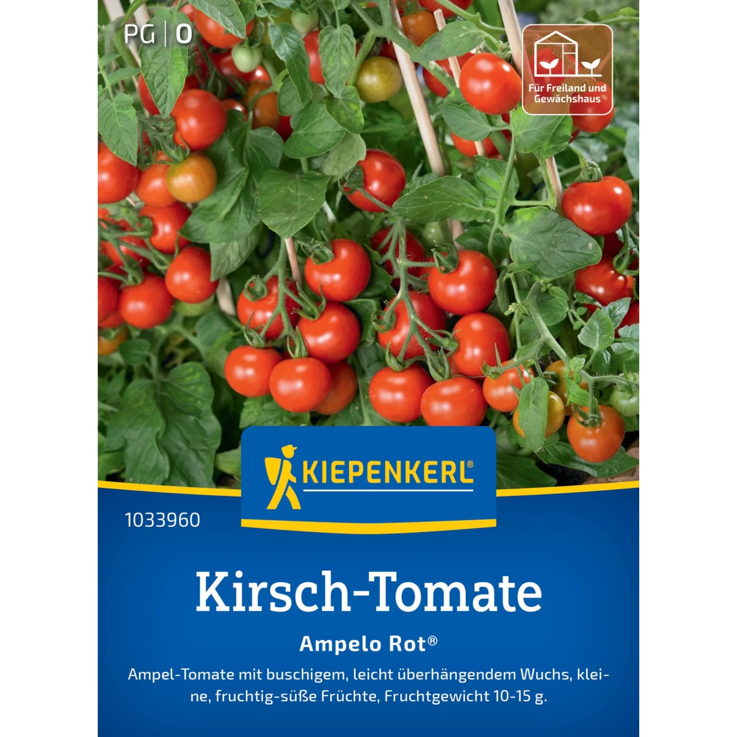Kiepenkerl Kirsch-Tomate "Ampelo Rot" F1-Hybride