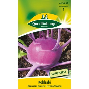 Samenpackung Quedlinburger Kohlrabi 'Delikateß blauer' mit blauvioletter Knolle.