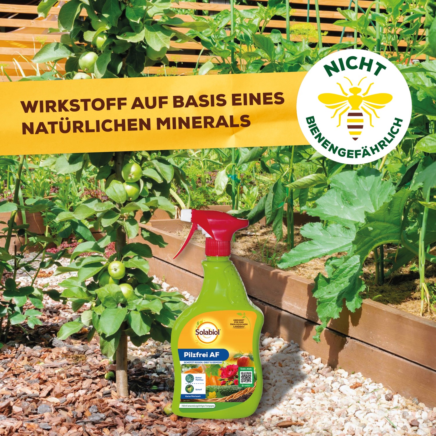 Solabiol Pilzfrei AF 750ml Sprühflasche im Garten gegen Pilzbefall an Pflanzen.