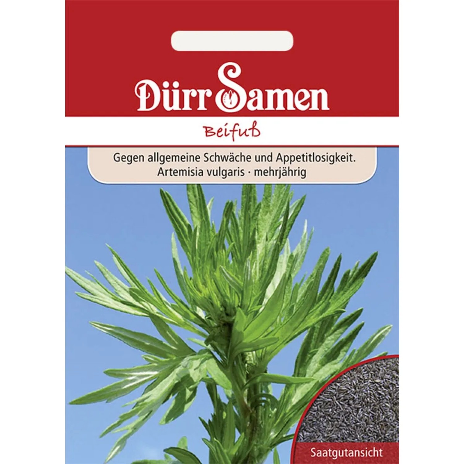 Dürr Samen Beifuß Saatgut