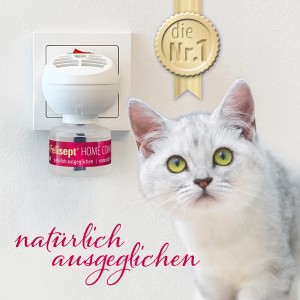 Felisept Home Comfort Diffuser-Set mit Katzenminze im Stecker, Katze im Vordergrund.