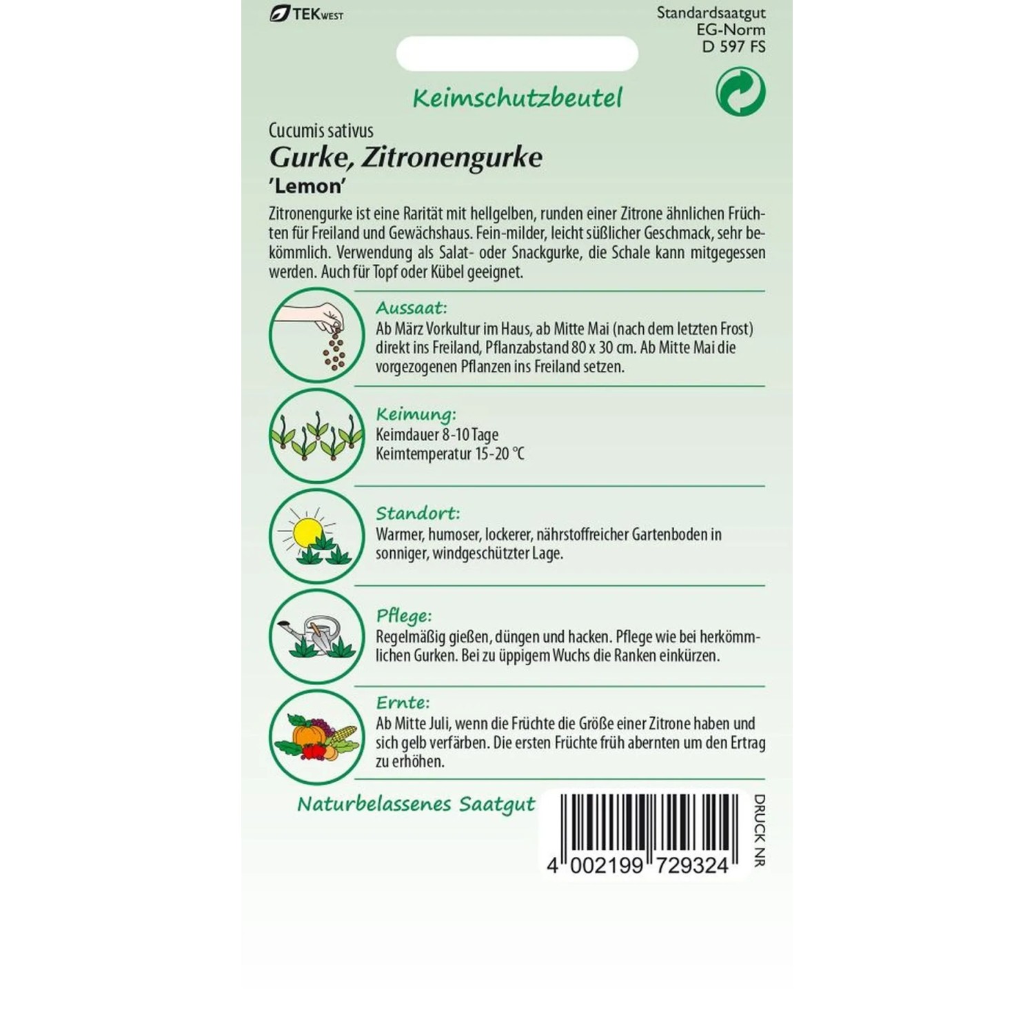 SAMEN PFANN Zitronengurke Lemon_2